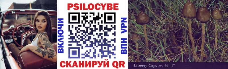 Купить закладки  Нефтекумск  Галлюциногенные грибы Psilocybe 